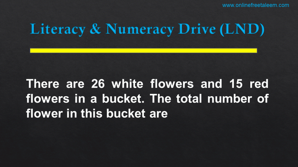 Literacy and Numeracy Drive Test Math
