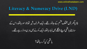 Literacy & Numeracy Drive Urdu