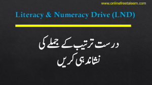LND Urdu Test